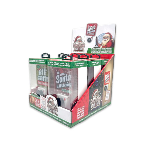 Camara de Seguridad SANTA