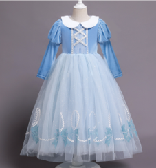 Blue Princces Dress