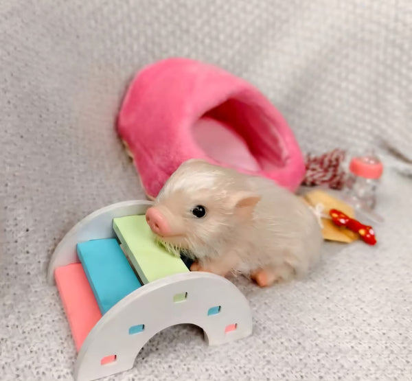 NUEVO Little Piggy , 100% Silicón