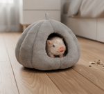 Casa para Little Pet