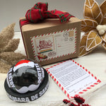 Camara de Seguridad SANTA